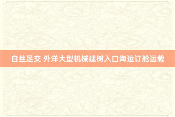 白丝足交 外洋大型机械建树入口海运订舱运载