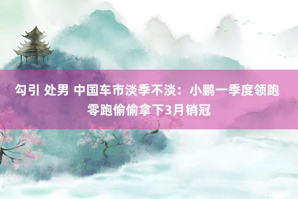 勾引 处男 中国车市淡季不淡：小鹏一季度领跑 零跑偷偷拿下3月销冠