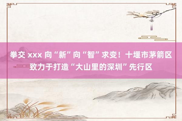 拳交 xxx 向“新”向“智”求变！十堰市茅箭区致力于打造“大山里的深圳”先行区