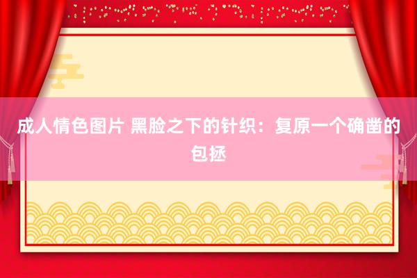 成人情色图片 黑脸之下的针织：复原一个确凿的包拯