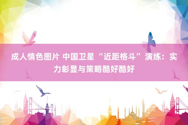 成人情色图片 中国卫星 “近距格斗” 演练：实力彰显与策略酷好酷好