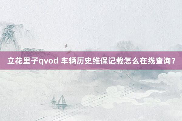 立花里子qvod 车辆历史维保记载怎么在线查询？