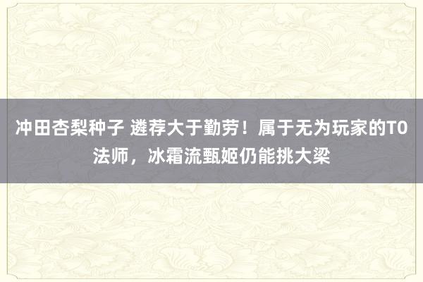 冲田杏梨种子 遴荐大于勤劳！属于无为玩家的T0法师，冰霜流甄姬仍能挑大梁