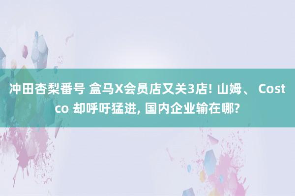 冲田杏梨番号 盒马X会员店又关3店! 山姆、 Costco 却呼吁猛进， 国内企业输在哪?