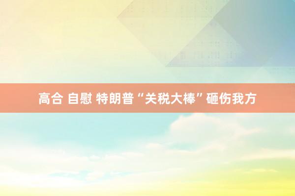 高合 自慰 特朗普“关税大棒”砸伤我方