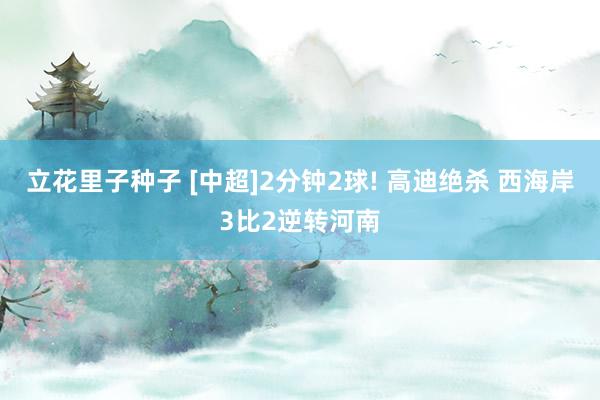 立花里子种子 [中超]2分钟2球! 高迪绝杀 西海岸3比2逆转河南