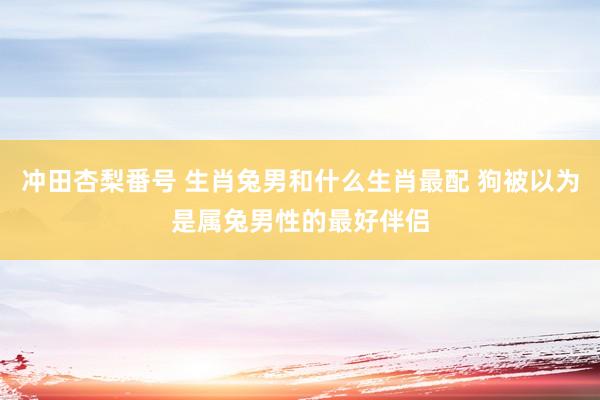 冲田杏梨番号 生肖兔男和什么生肖最配 狗被以为是属兔男性的最好伴侣