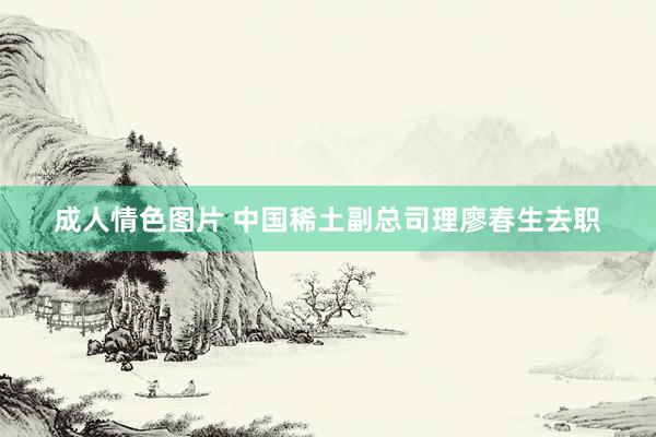 成人情色图片 中国稀土副总司理廖春生去职