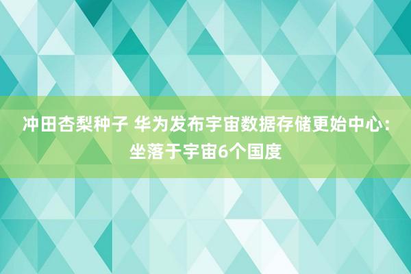 冲田杏梨种子 华为发布宇宙数据存储更始中心：坐落于宇宙6个国度