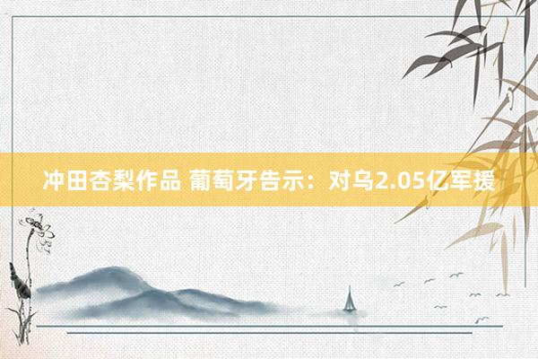 冲田杏梨作品 葡萄牙告示：对乌2.05亿军援