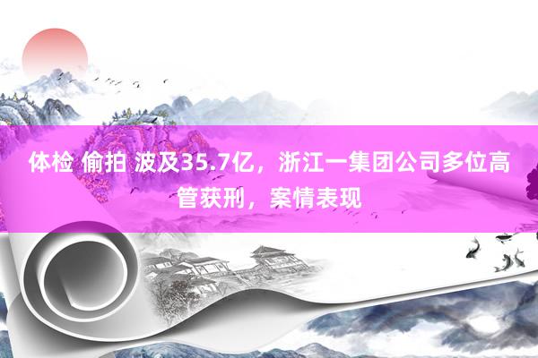 体检 偷拍 波及35.7亿，浙江一集团公司多位高管获刑，案情表现